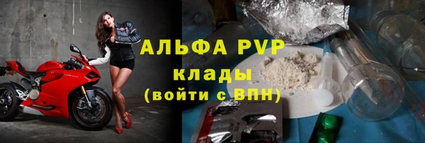 PSILOCYBIN Балахна