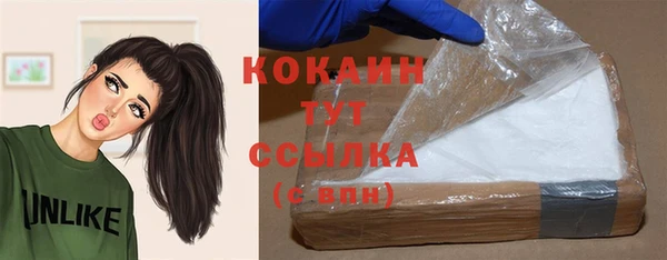 PSILOCYBIN Балахна