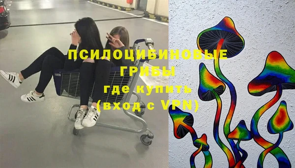 PSILOCYBIN Балахна