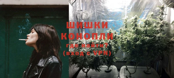 PSILOCYBIN Балахна