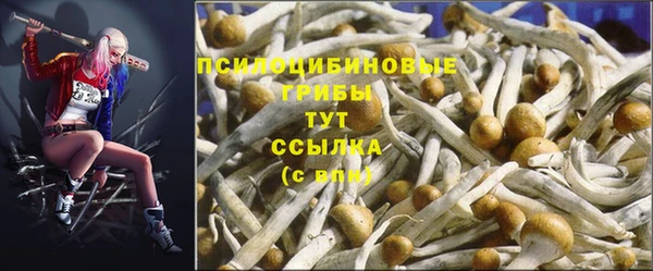 дурь Баксан