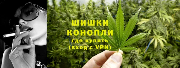 PSILOCYBIN Балахна